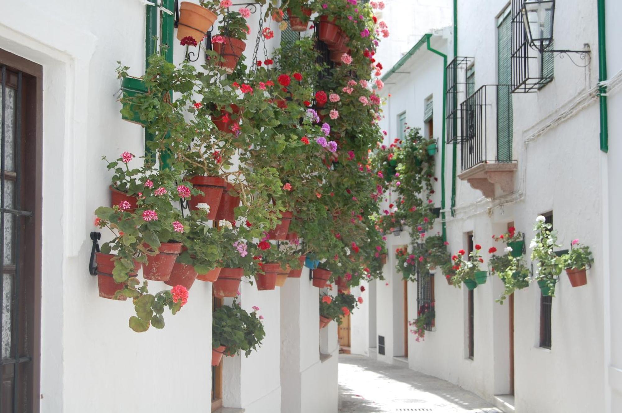 Casa Banos De La Villa Priego de Córdoba Exteriér fotografie